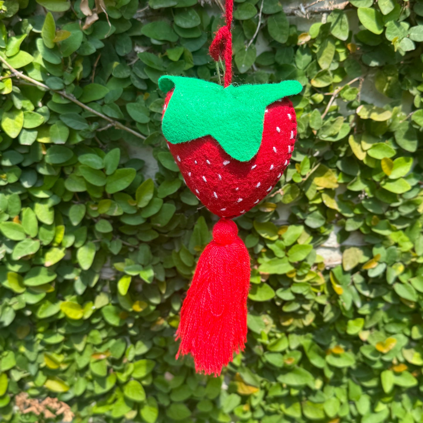 Fruit and veggie car tassel accessory | Strawberry, pineapple, avocado, and apple | Car decor | Handmade in Mexico