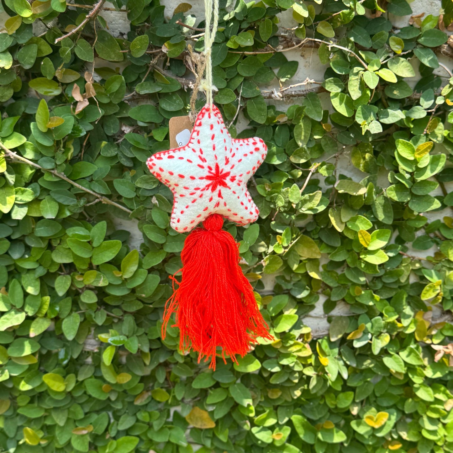 Hanging star tassel | Handmade in Mexico | Car, bag, or purse charm | Car accessory | Sets of 5, 10, 15, and 20 available!